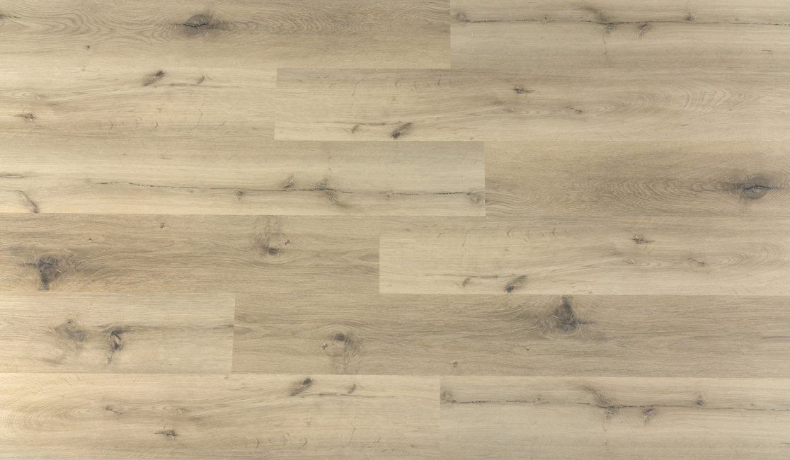 06064d4d75f5bc04eab1538a3e476584