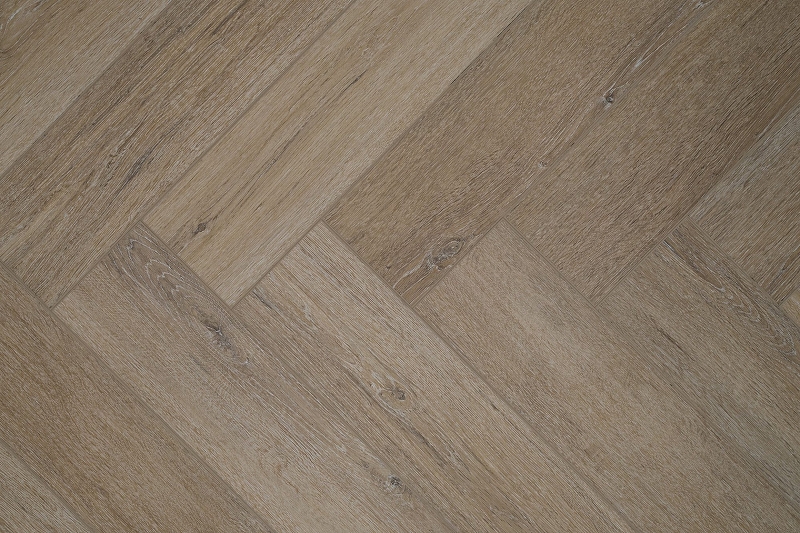 447339_2444745_bg