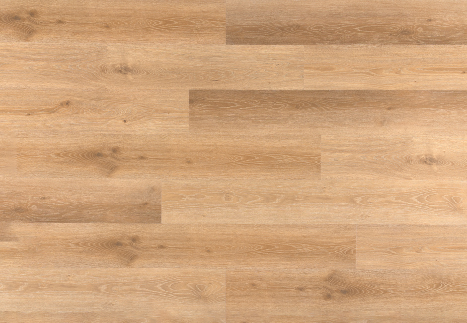 00bea8ff76c6324923e8c2976c17f41d