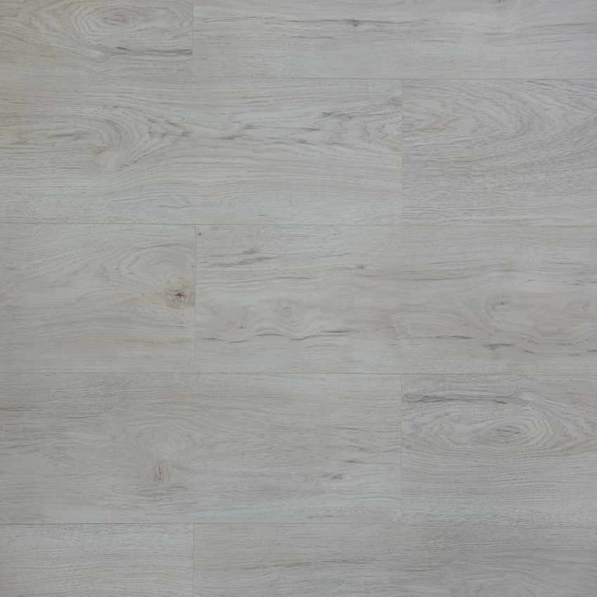 90-ARM,Канадский-клен-Аякс-