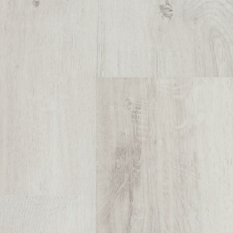 forcett-750x750