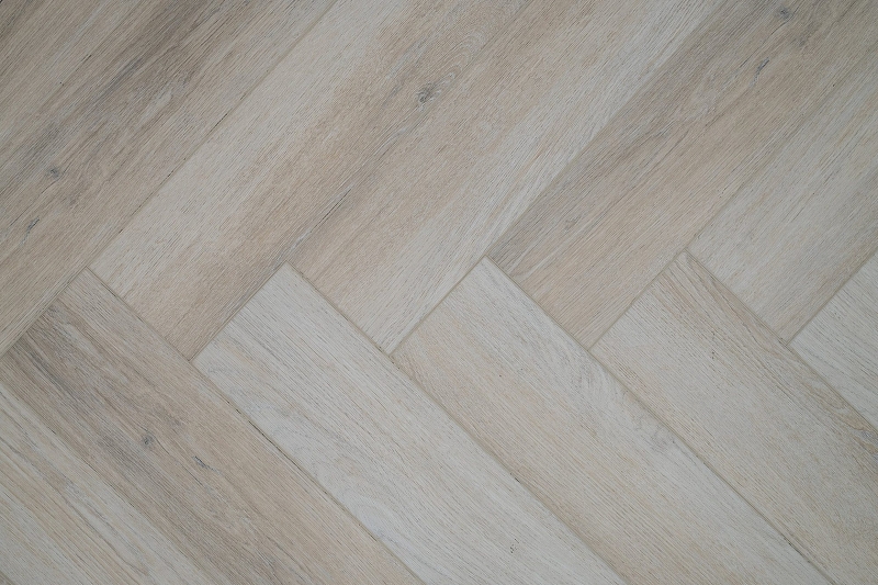 447332_2444702_bg