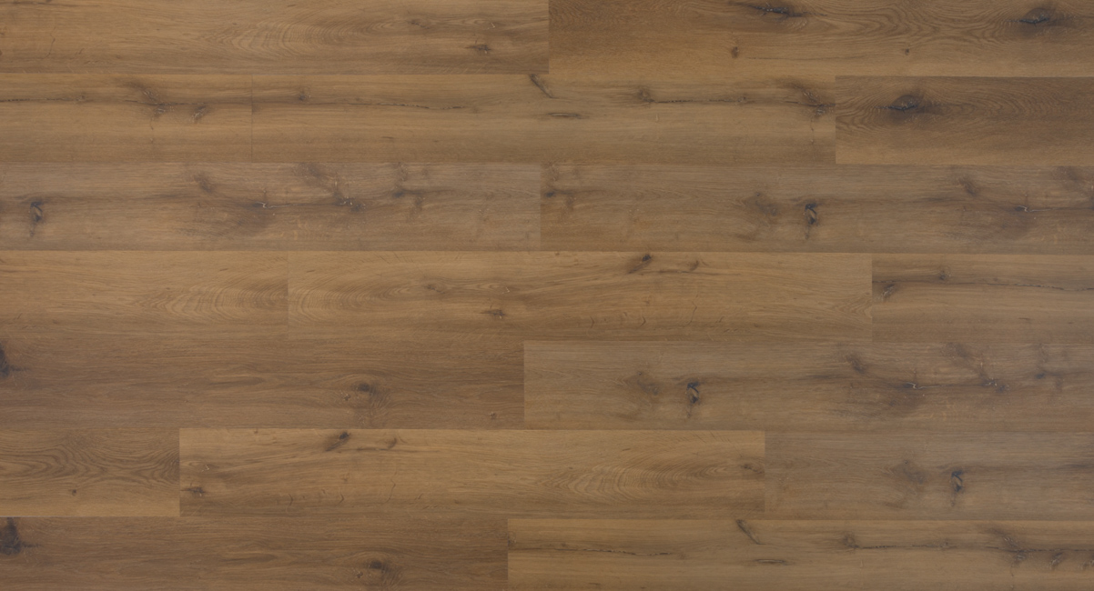 6b49113495a1787dd0ec51f96fdb13b2