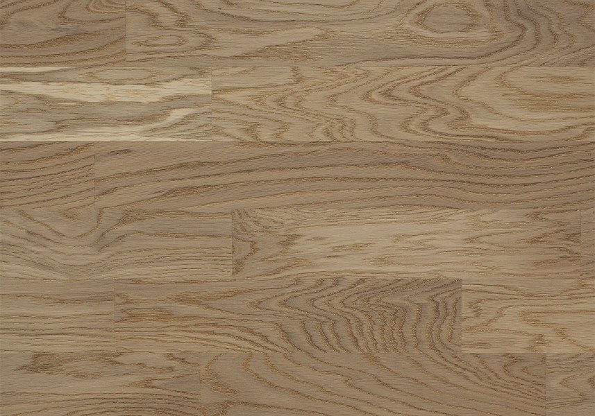 focus_floor_dub_eklips