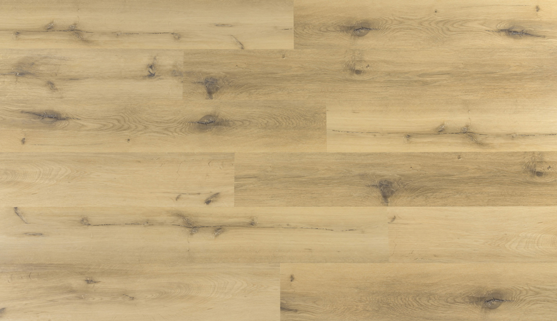 08064a4829b3acae887089cd07c860d0