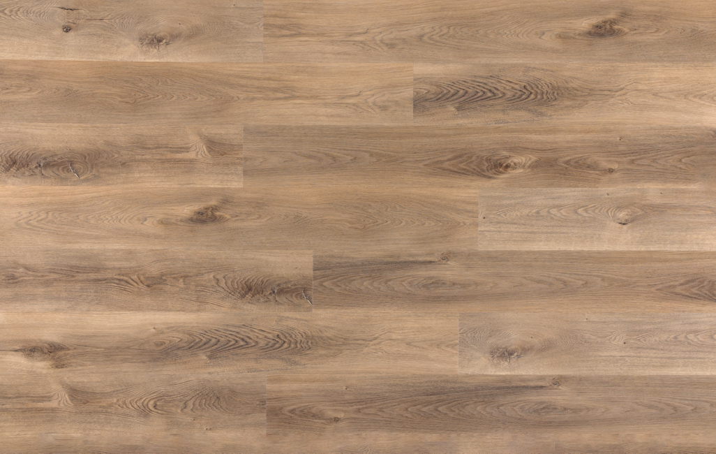 d59da7a668e9fecbf12d4cfab4765de8