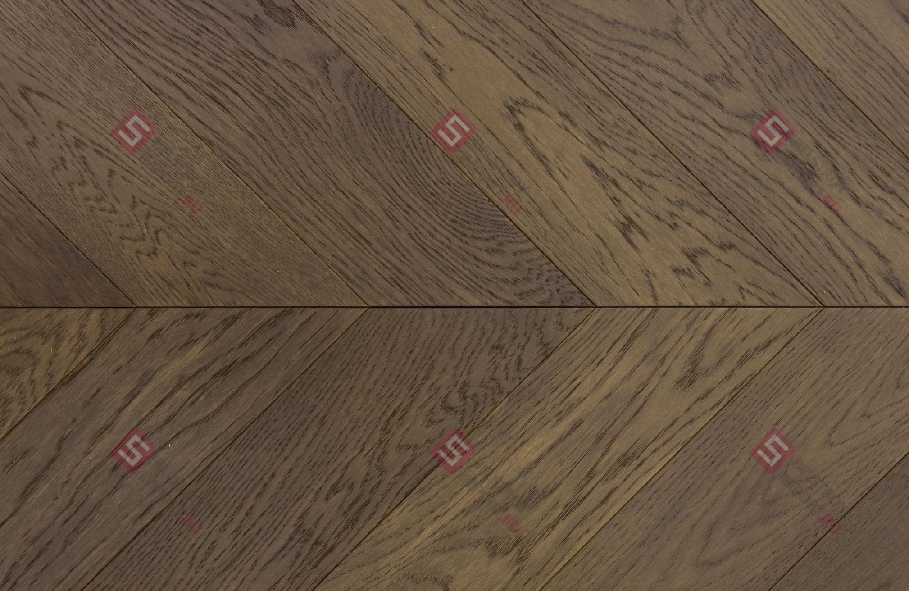 77866b5358087f010446af8895e4975a