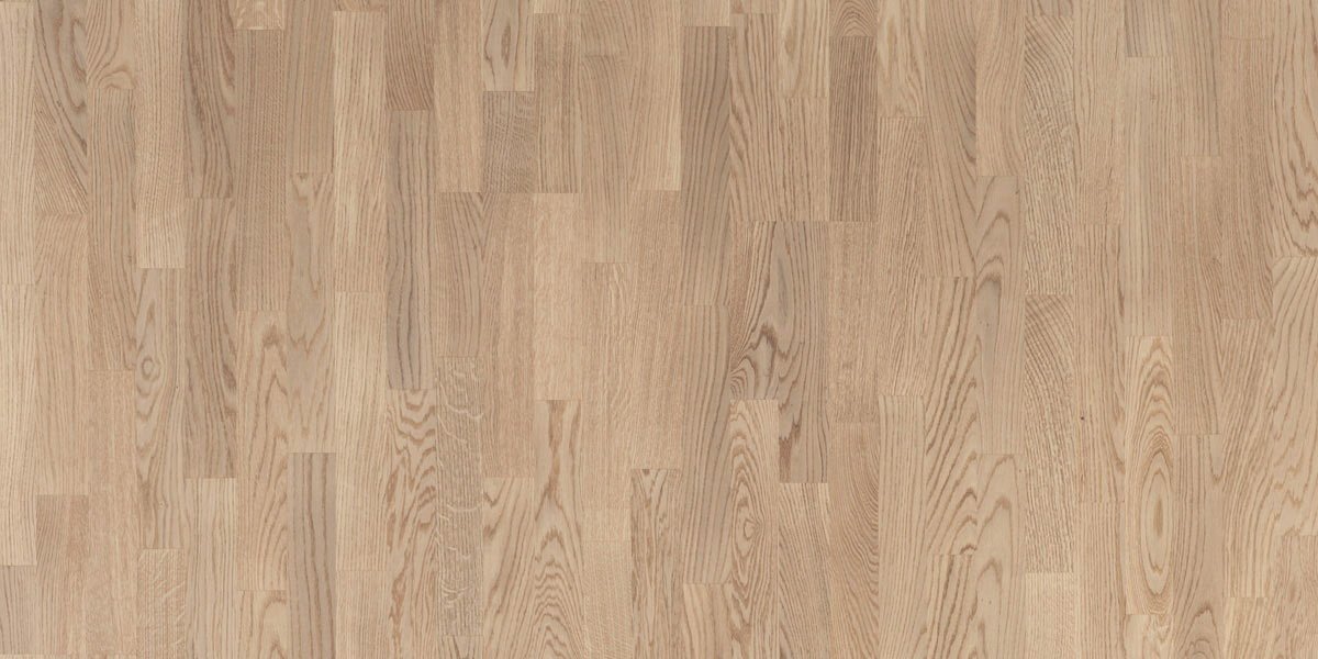 focus_floor_15