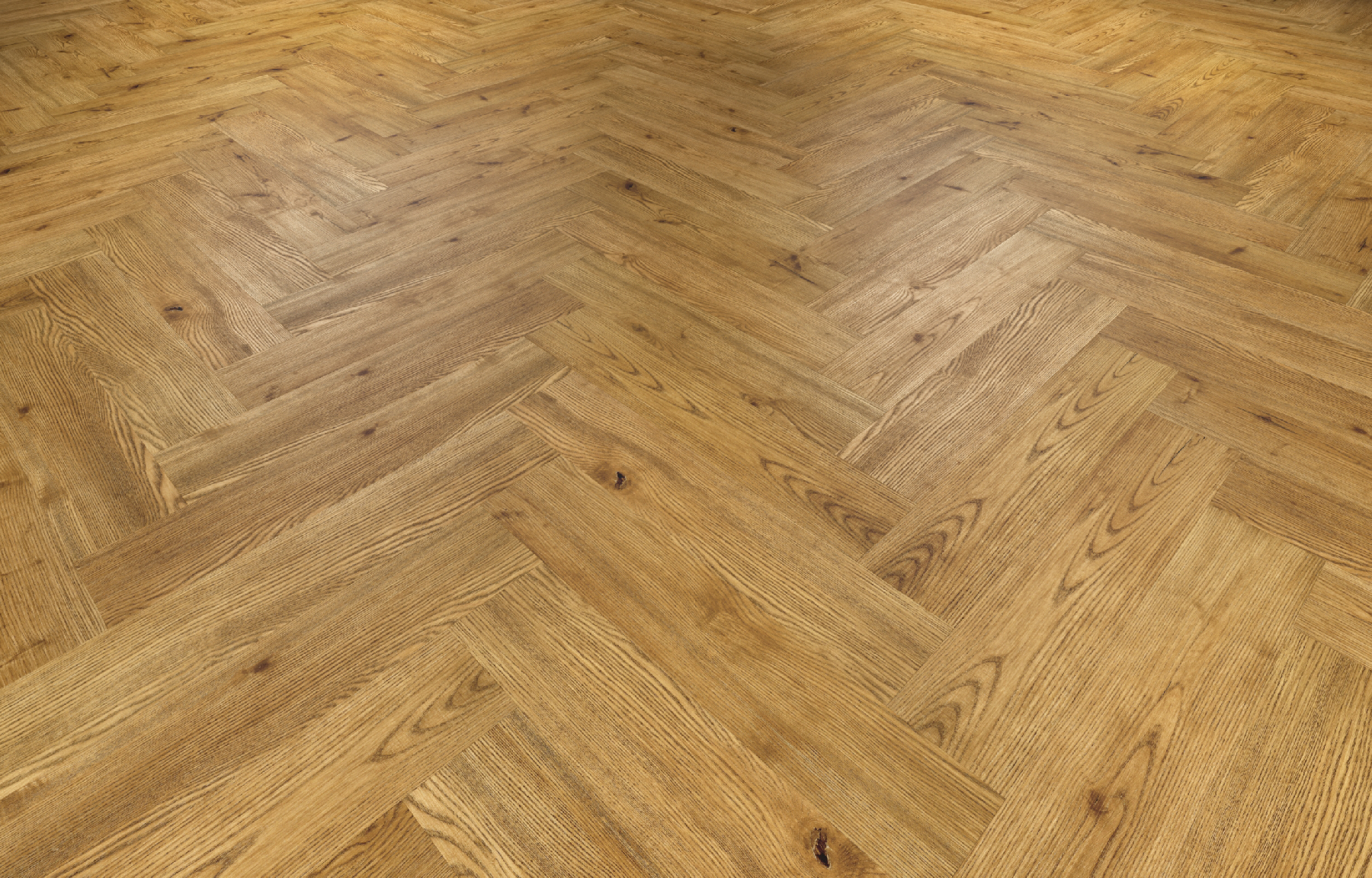 3e68b833363a5107187508ba54b4faaa