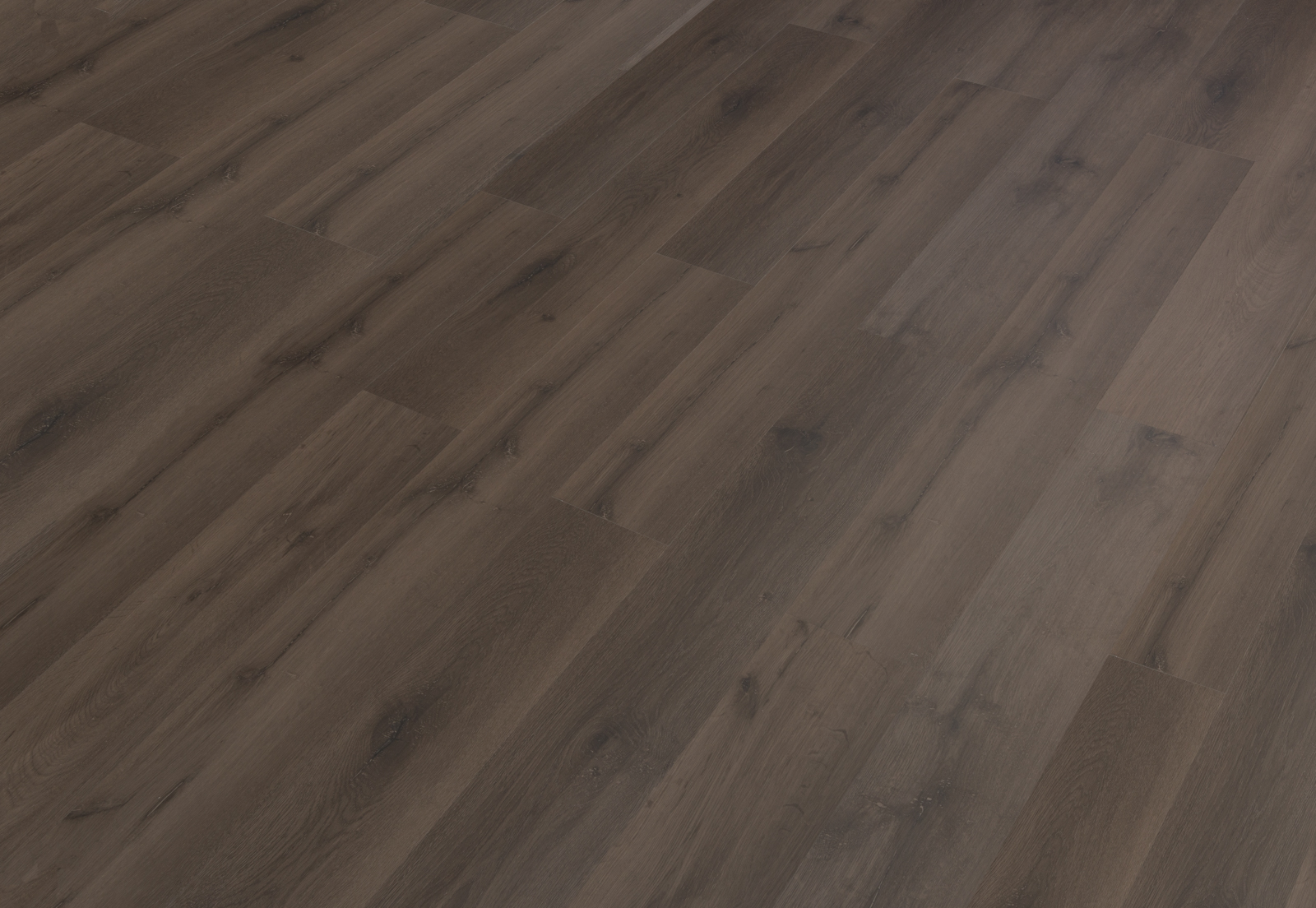 d69d41373a8d8c64f051ddd9b89f9843