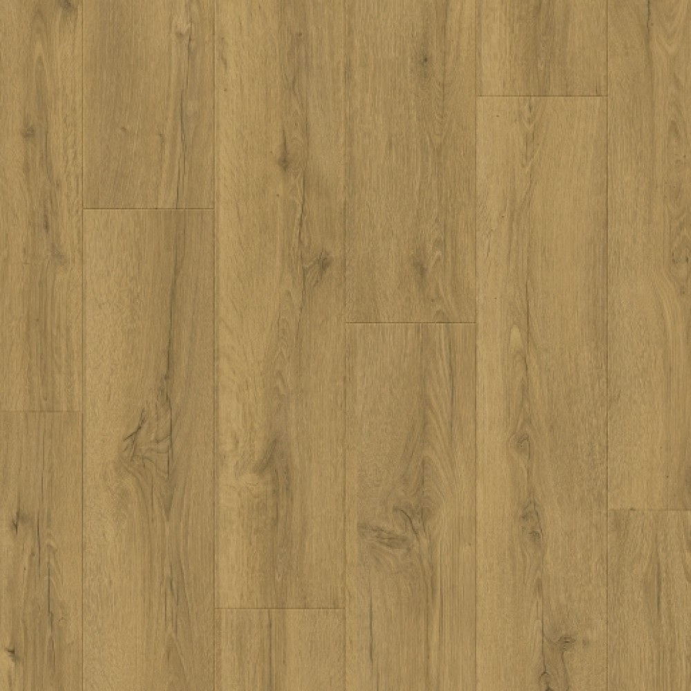 ut-00052806-1000x1000