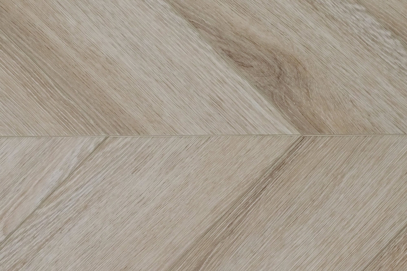 447391_2444846_bg