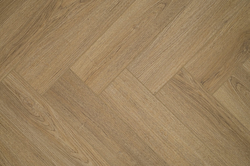 447338_2444775_bg
