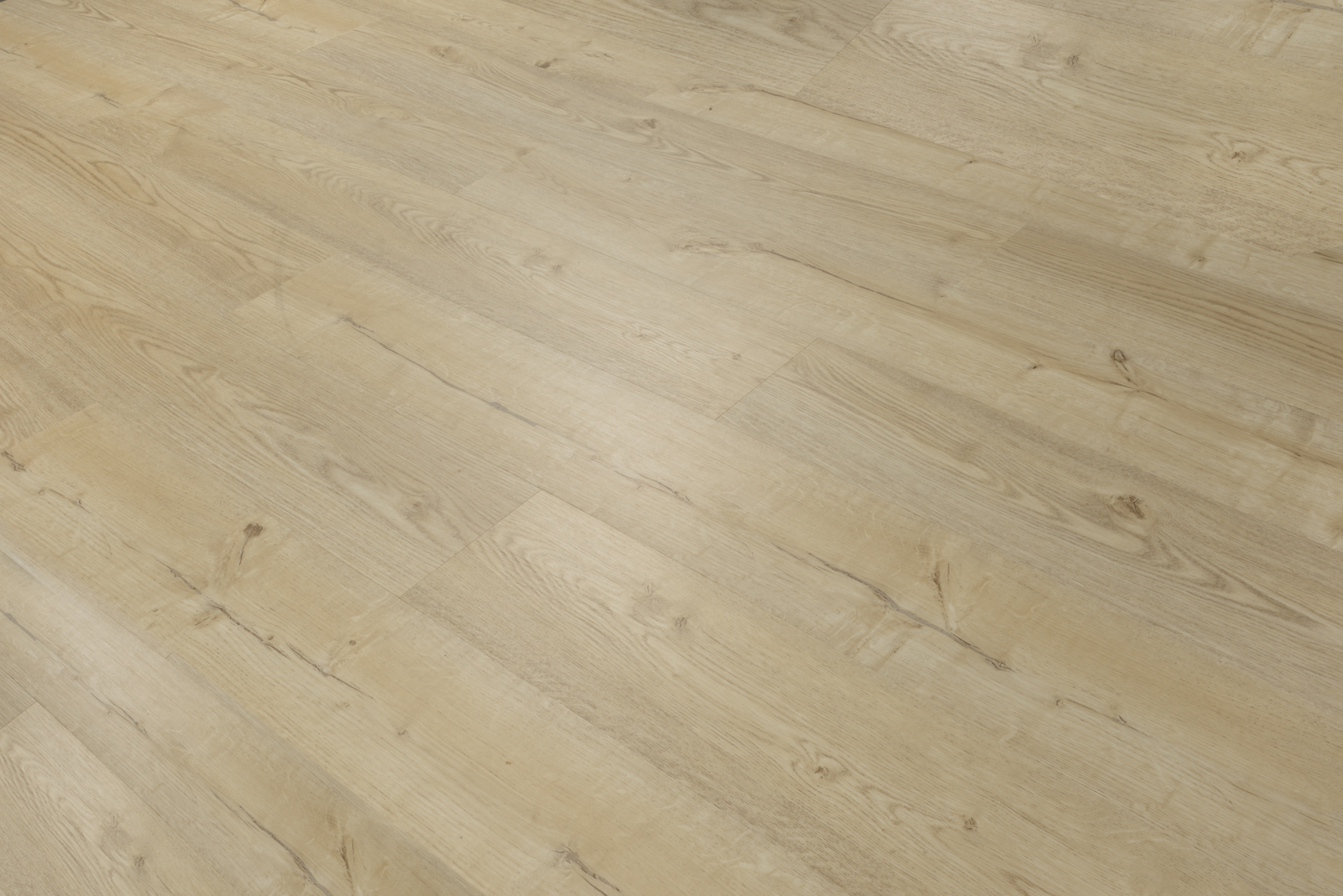 c5e37a069d3a668ea8a55e6d1203e8bd