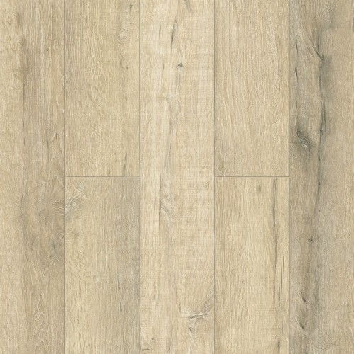 ECO7-19_500x500_b30