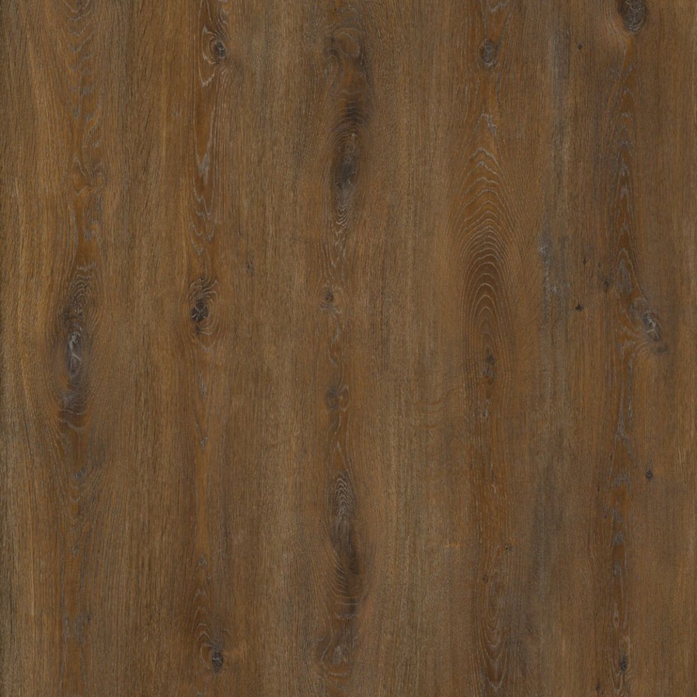 100-1000x1000