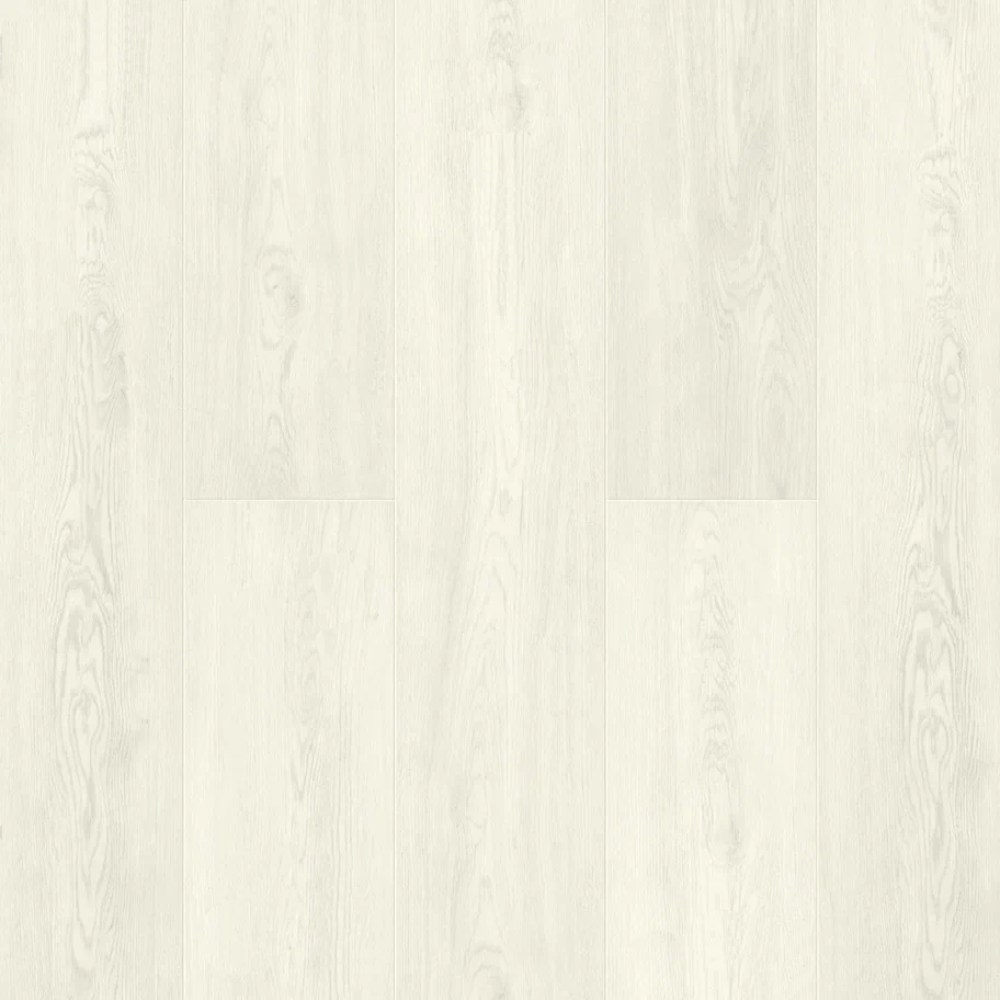 ECO134-77