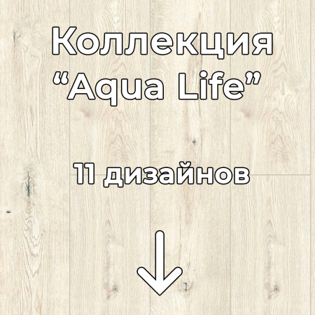 Без имени-2
