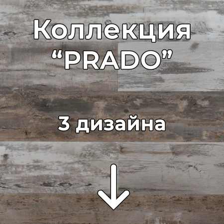 Без имени-2