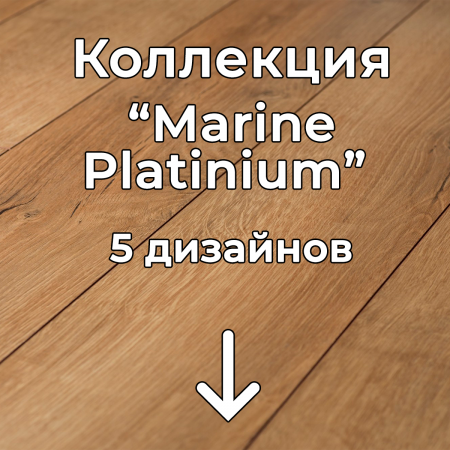 Без имени-2