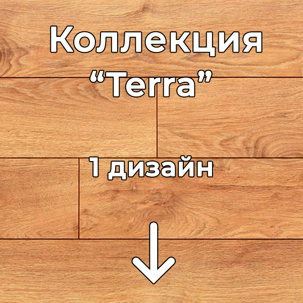 Без имени-2-восстановлено