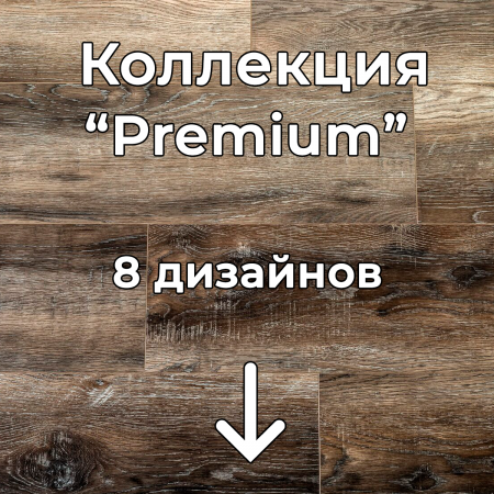 Без имени-2