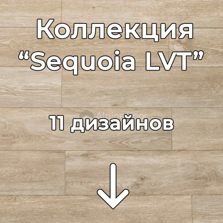 Без имени-2