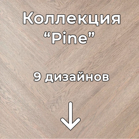 Без имени-2