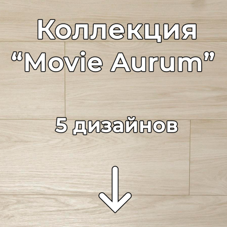 Без имени-2