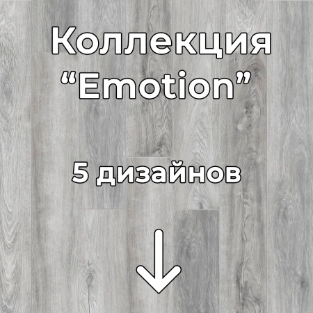 Без имени-2