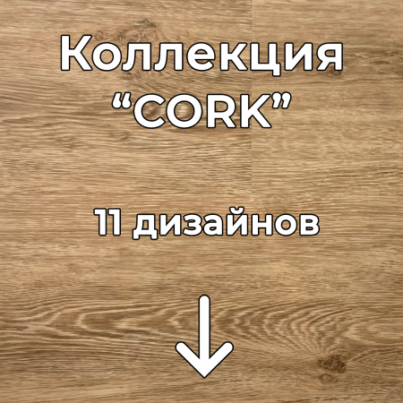 Без имени-2
