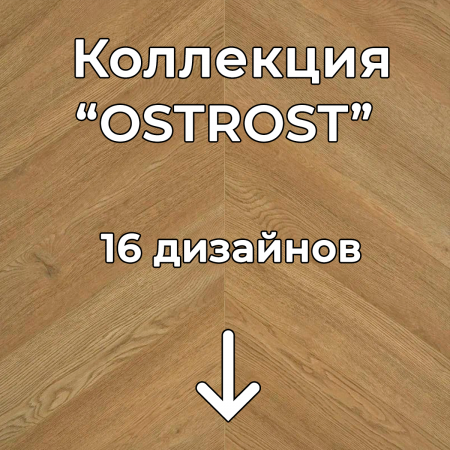 Без имени-2