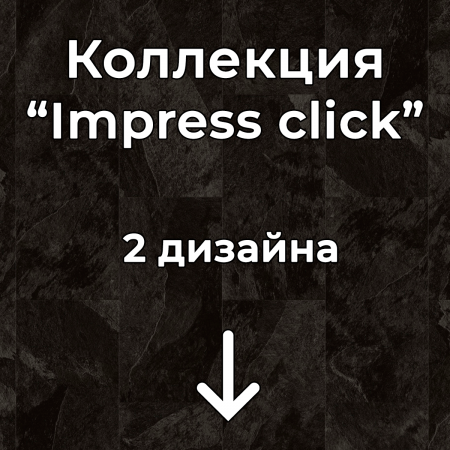 Без имени-2