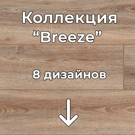 Без имени-2