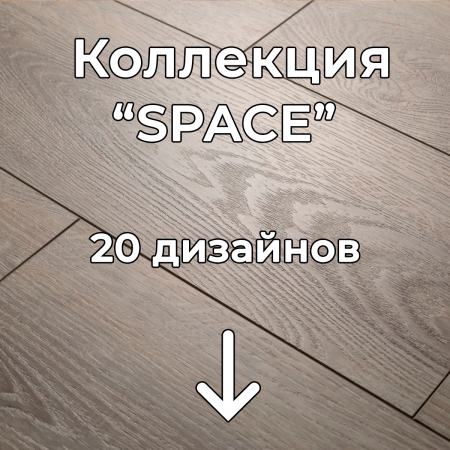 Без имени-2