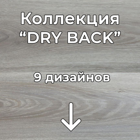 Без имени-2