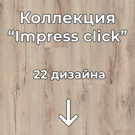 Без имени-2