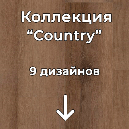 Без имени-2