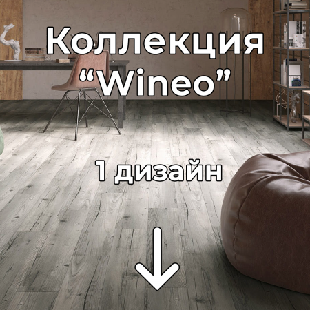 Без имени-2