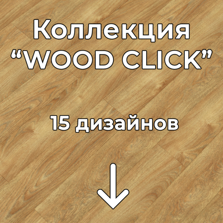 Без имени-2