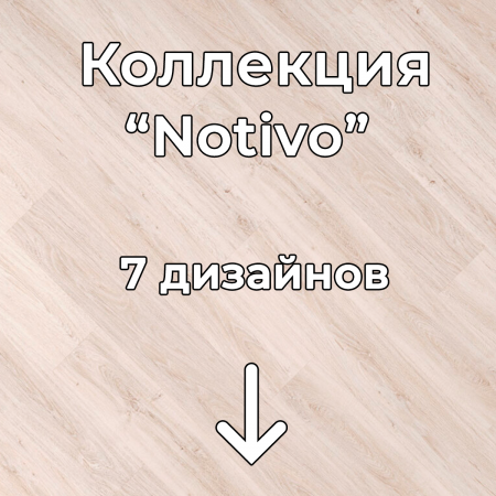 Без имени-2