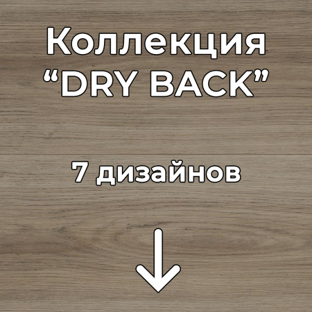 Без имени-2