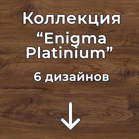 Без имени-2