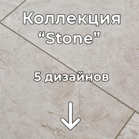 Без имени-2