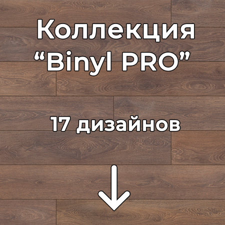 Без имени-2
