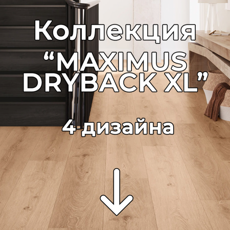 Без имени-2