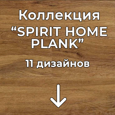 Без имени-2