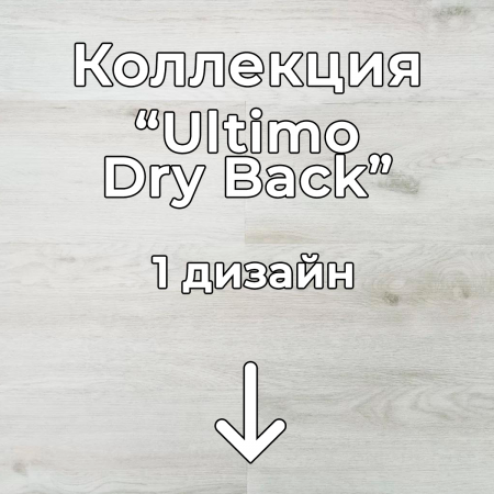 Без имени-2