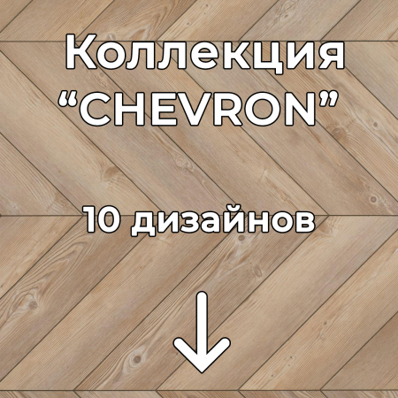 Без имени-2