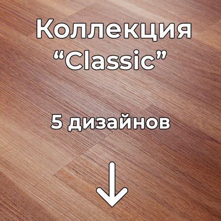 Без имени-2